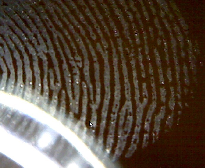 finger-print-view