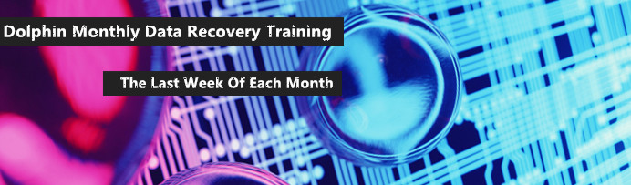 dolphin-monthly-data-recovery-training