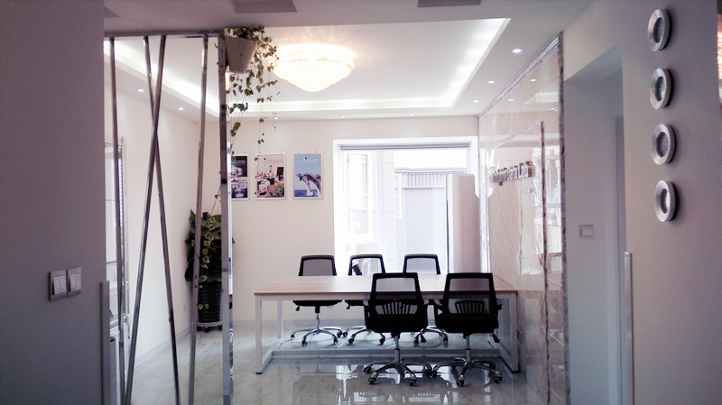 dolphin-international-office