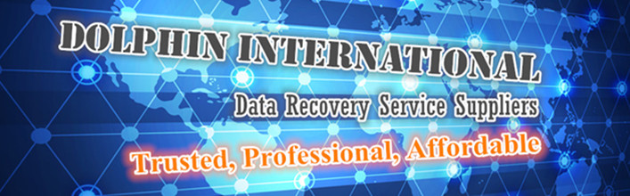 Dolphin-International-Data-Recovery-Service-Partners-Inner